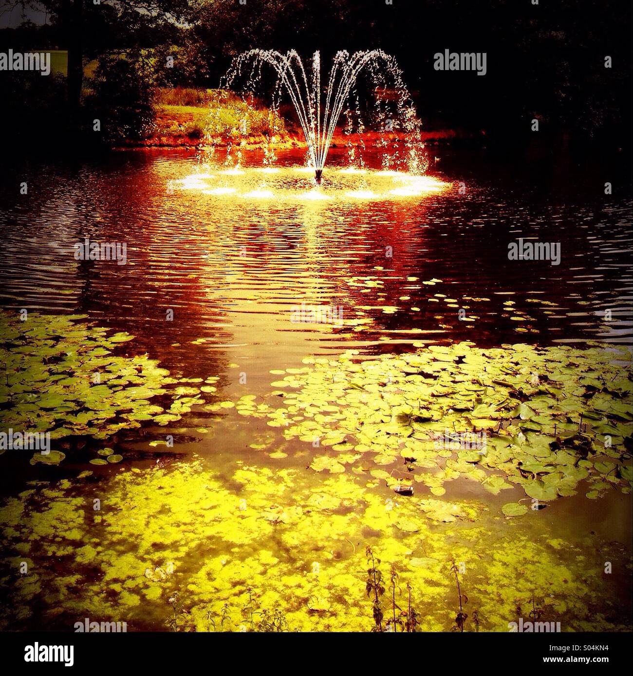 Fountain at Astley Park in Chorley, Lancashire - Smartphone Captured Stock Image