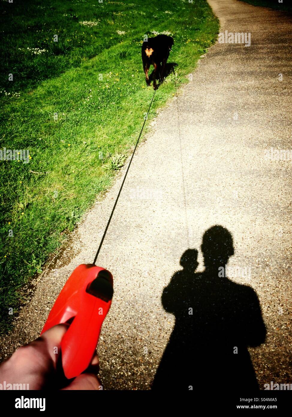 Man walking dog - Smartphone Captured Stock Image