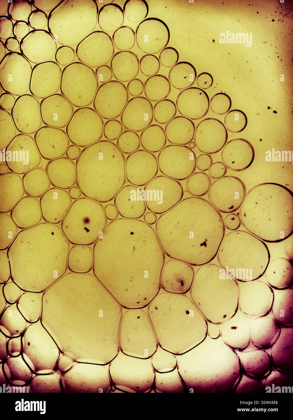 Liquid bubbles. Close up macro image of droplets of oil floating in yellow colour water. - Smartphone Captured Stock Image