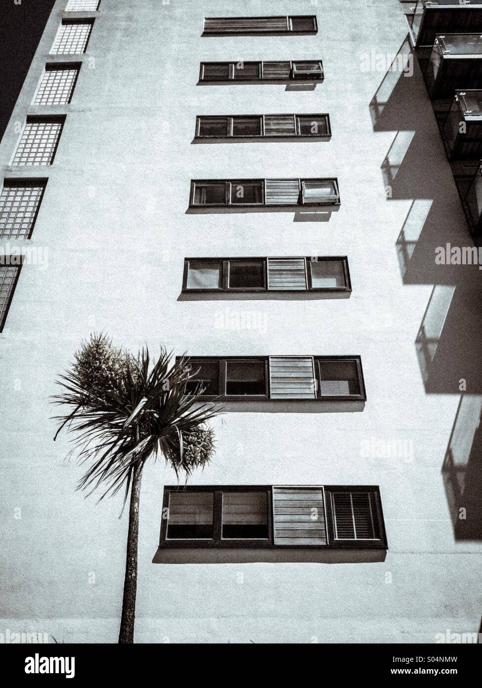 Solo tree hi-res stock photography and images - Alamy, image size:975x1390