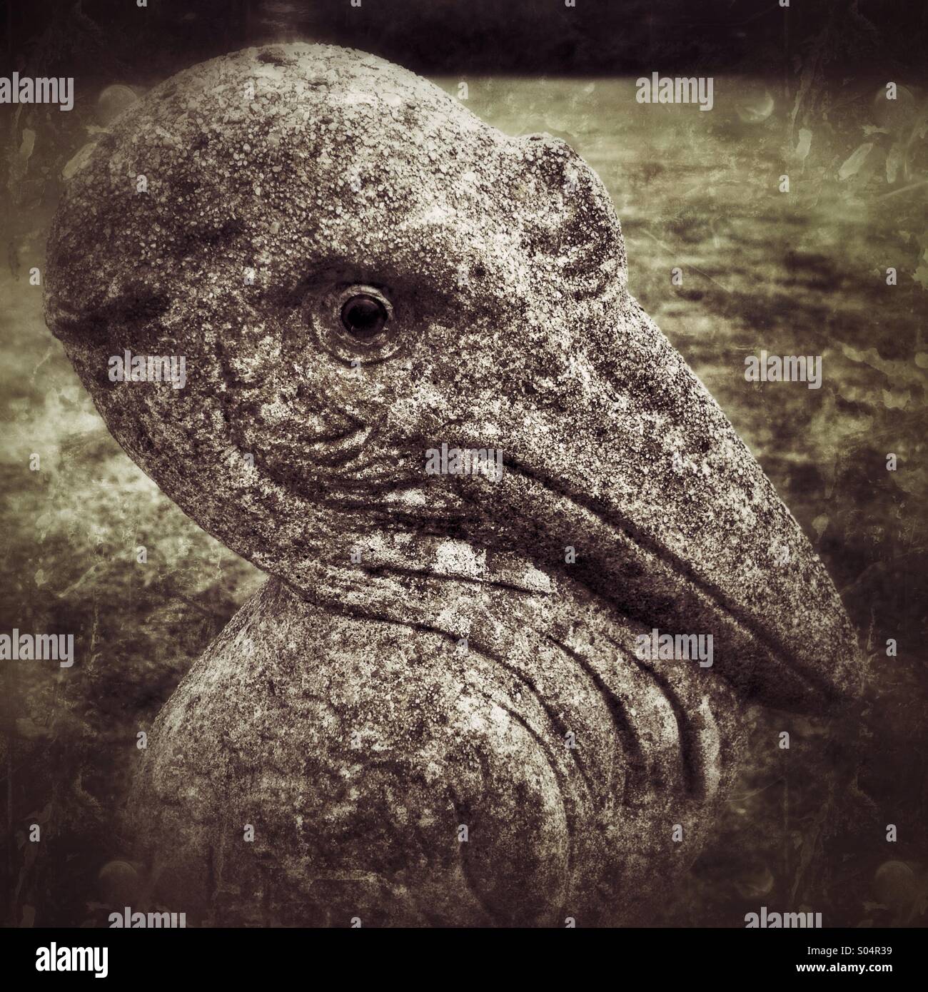 Stone garden sculpture of a pelican with grunge texture Stock Photo
