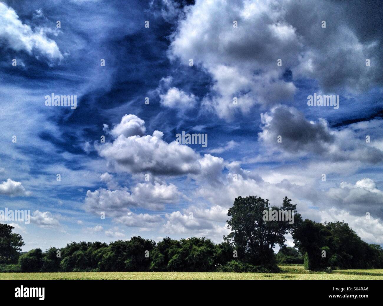 Dramatic blue sky with white clouds over an English meadow, UK. - Smartphone Captured Stock Image