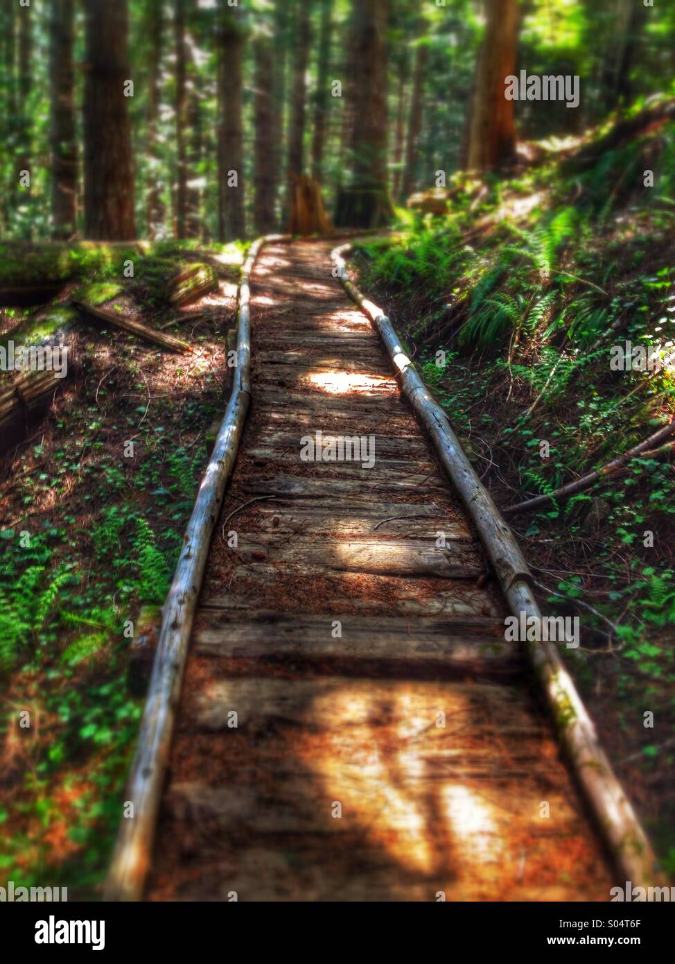 Excelsior Pass Trail Whatcom County Wa Stock Photo Alamy Excelsior Pass Trail Whatcom County Wa Stock Photo Alamy