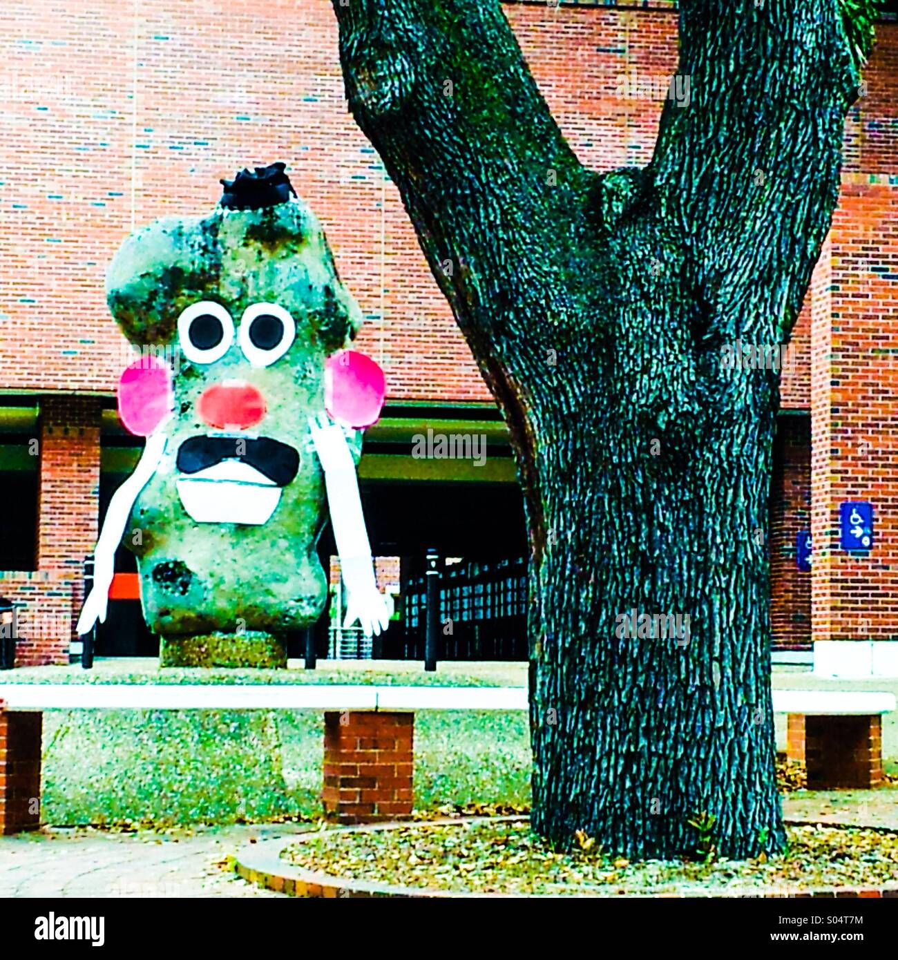 The Potato Sculpture is decorated as Mr. Potato Head by students for graduation week every spring on the University of Florida campus. Stock Photo