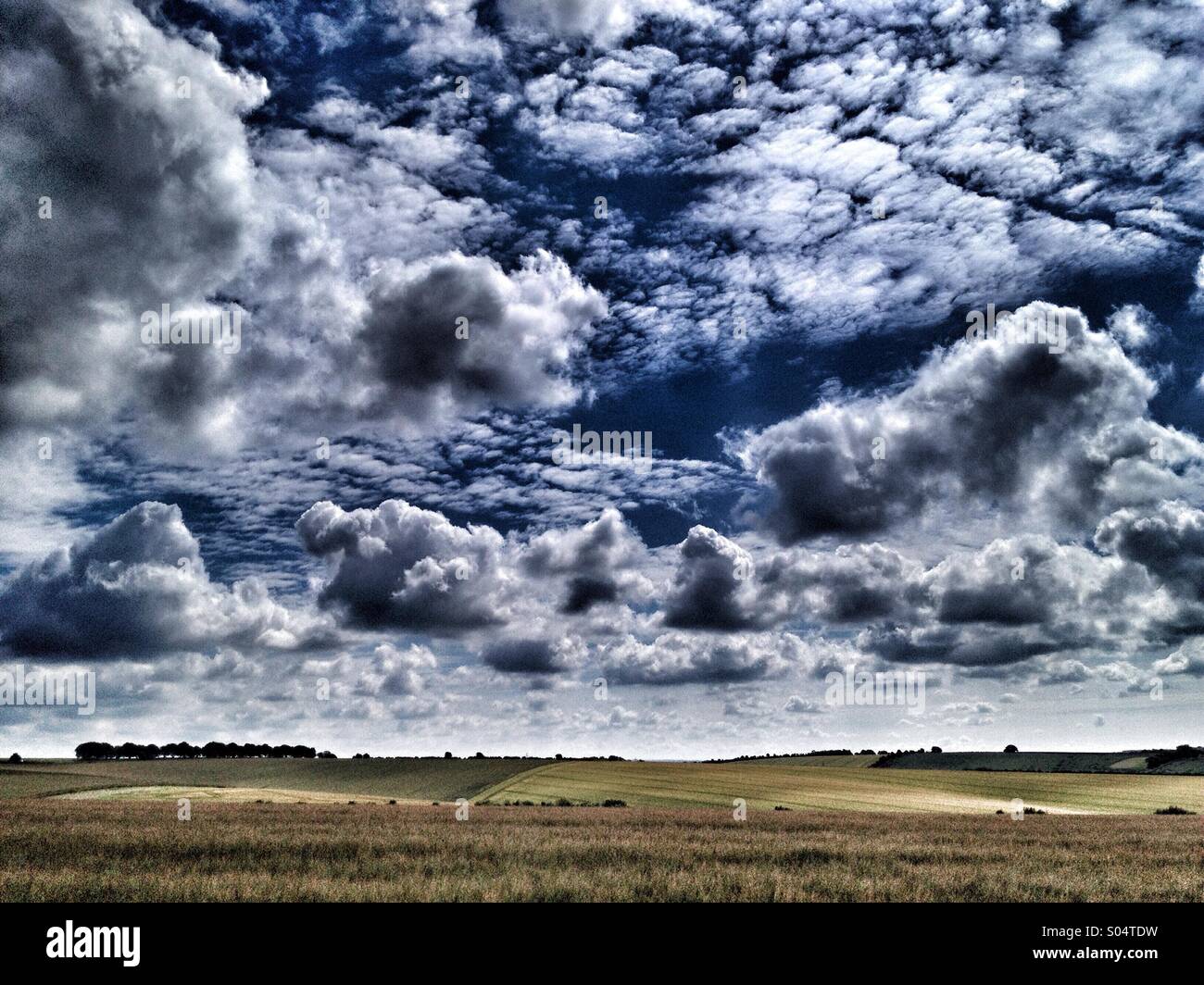 Summer fields, summer sky. Hampshire, UK - Smartphone Captured Stock Image