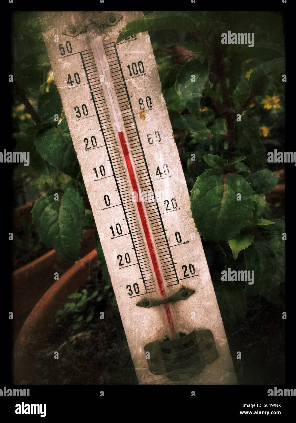 Thermometer Inside Plant Nursery Stock Photo - Download Image Now