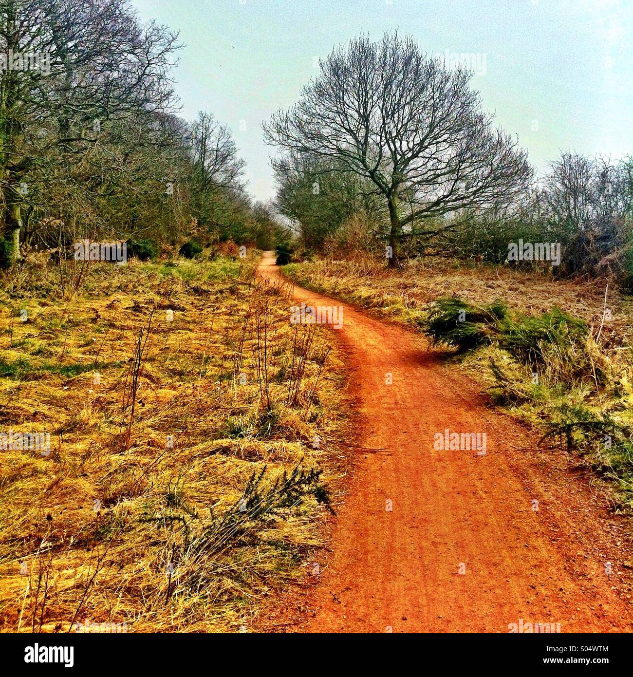 Winding path Stock Photo Alamy