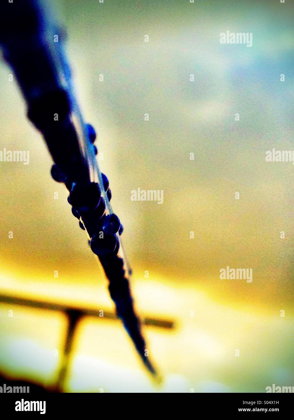 Rain on the line - Smartphone Captured Stock Image