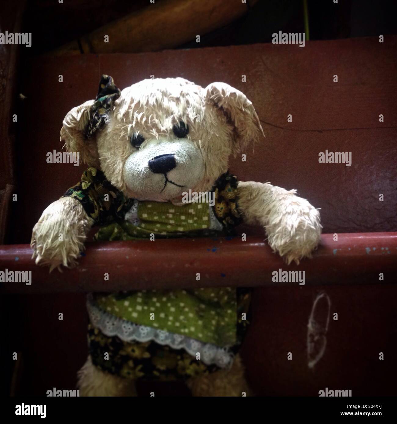 A wet teddy bear decorates a house in Mexico City, Mexico Stock Photo