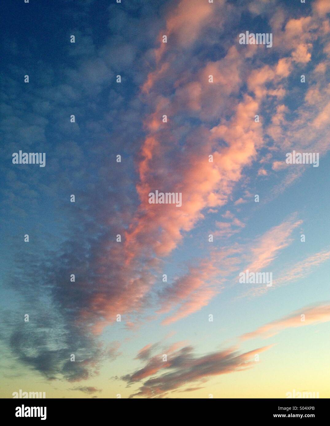 The sky at dusk. Plumes of prawn pink cloud over mackerel clouds Stock