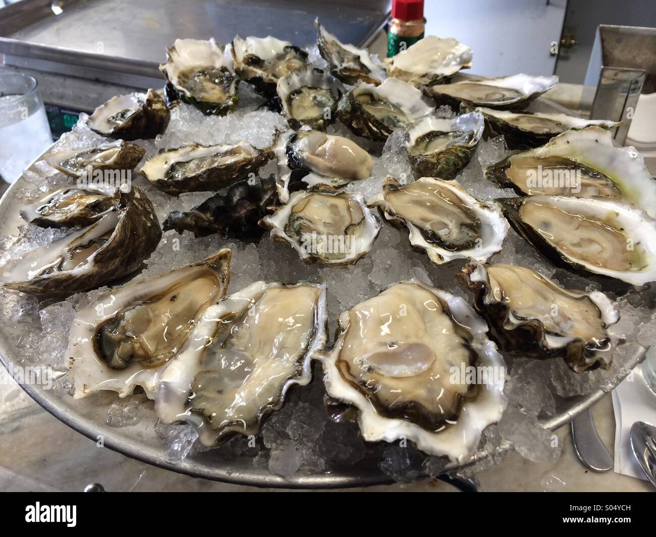 Freshly shucked oysters Stock Photo