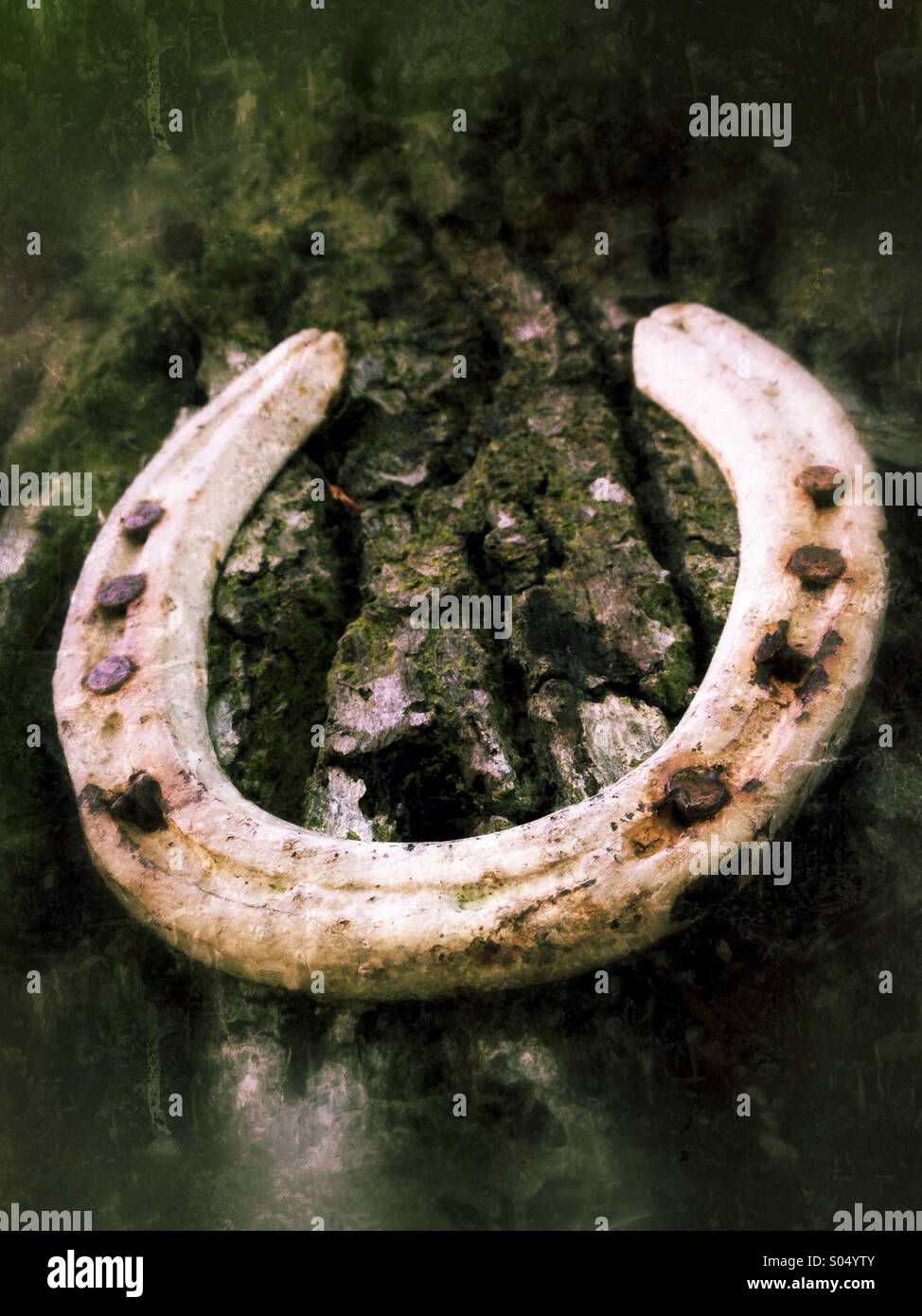 Lucky horse shoe nailed to tree - Smartphone Captured Stock Image