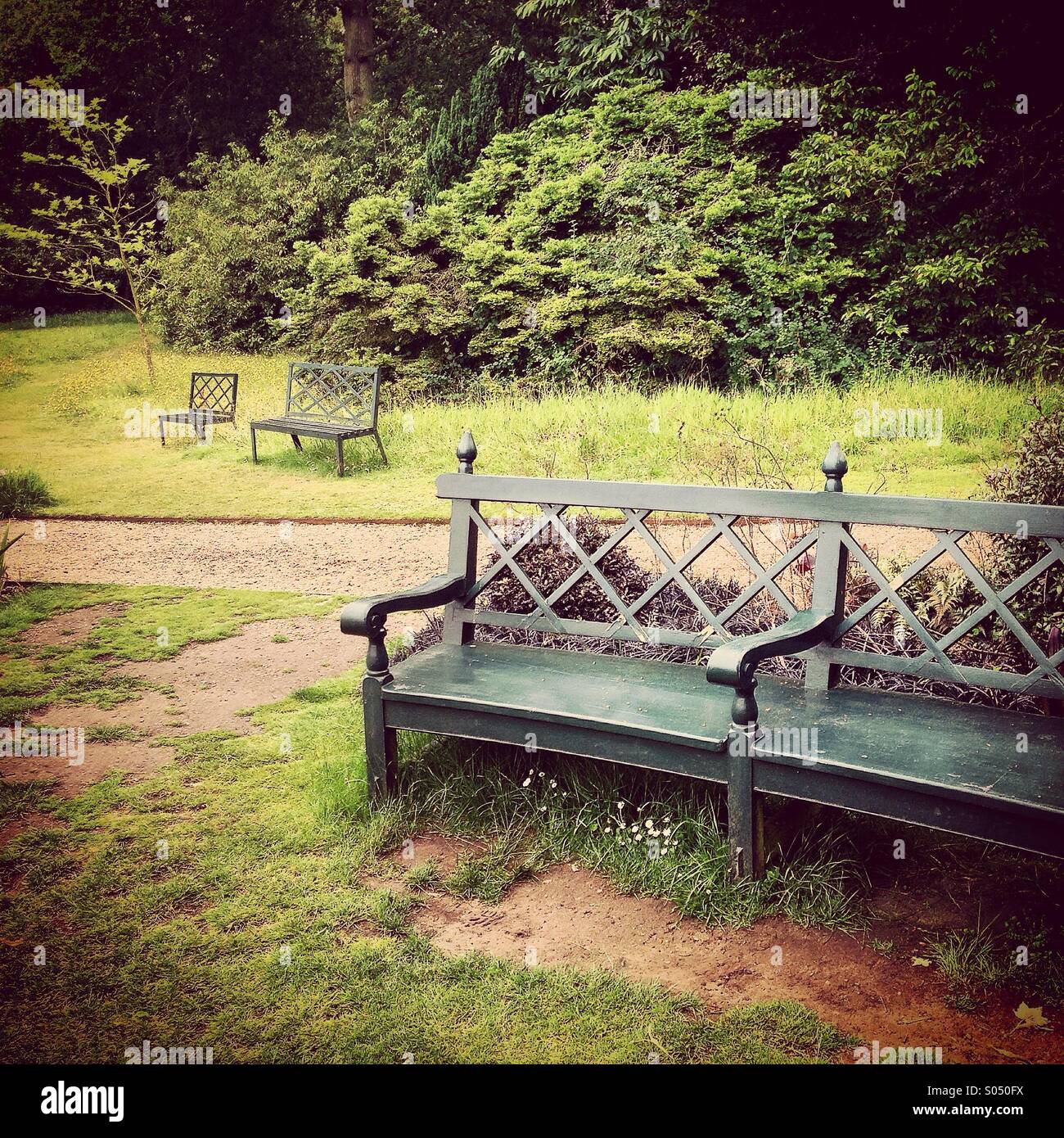 Three park benches in a garden - Smartphone Captured Stock Image