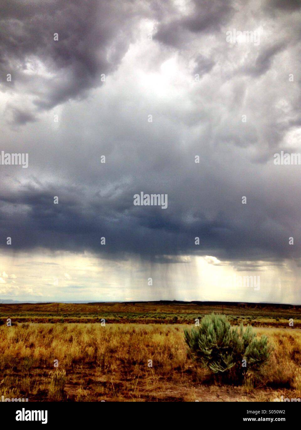 Desert distant rain hi-res stock photography and images - Alamy