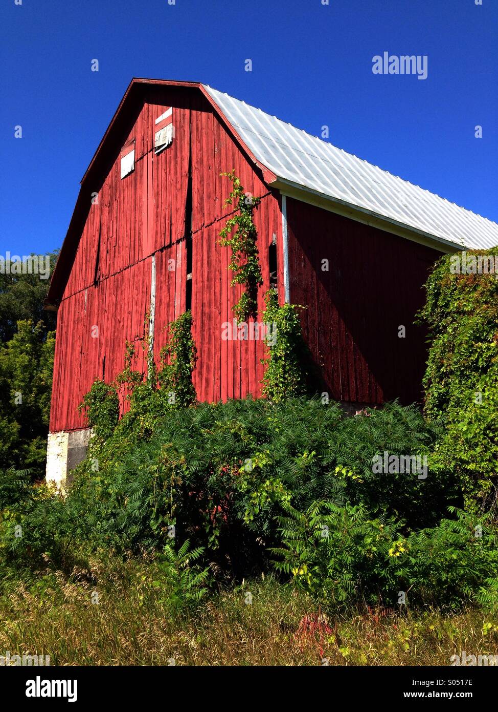 Old red barn - Smartphone Captured Stock Image