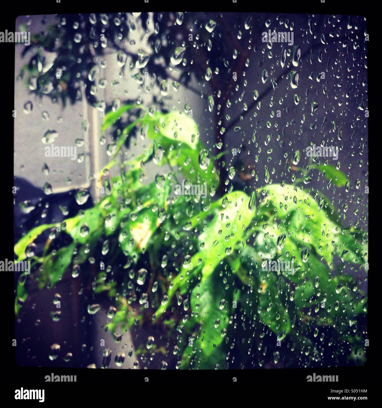 Pitter patter of rain hires stock photography and images Alamy