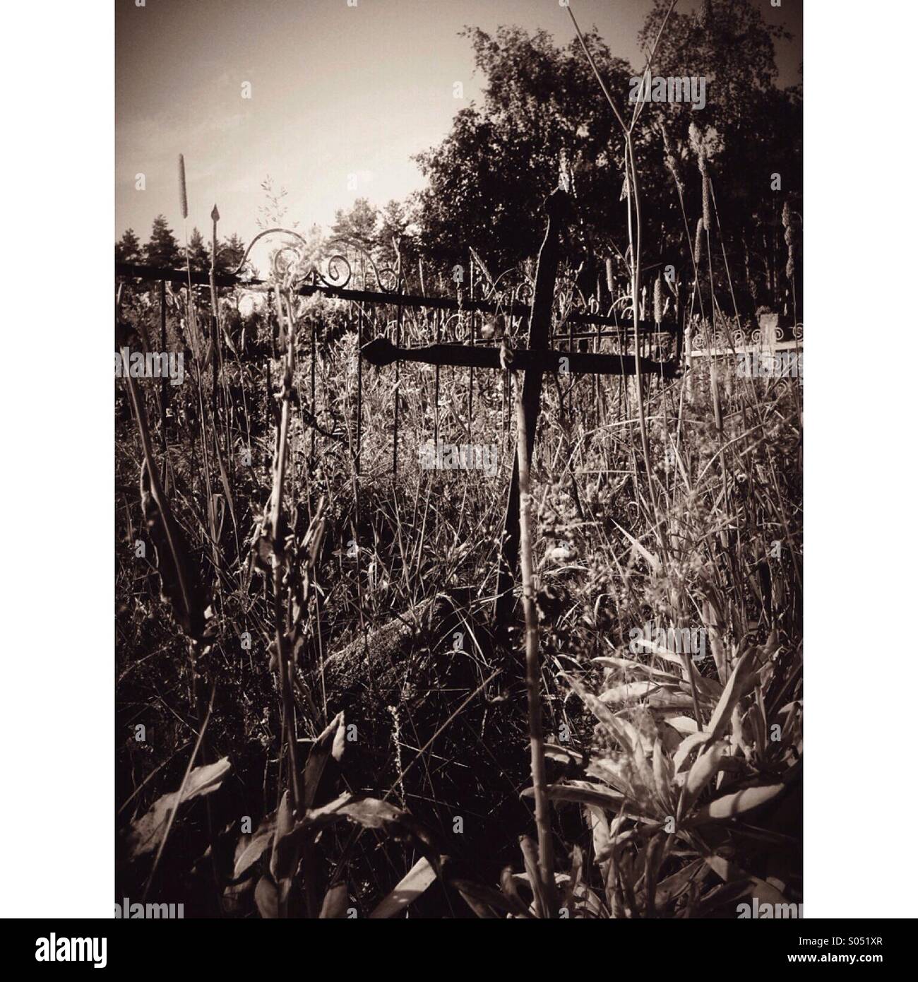 cross on the old slavonic cemetery in Belarus Stock Photo