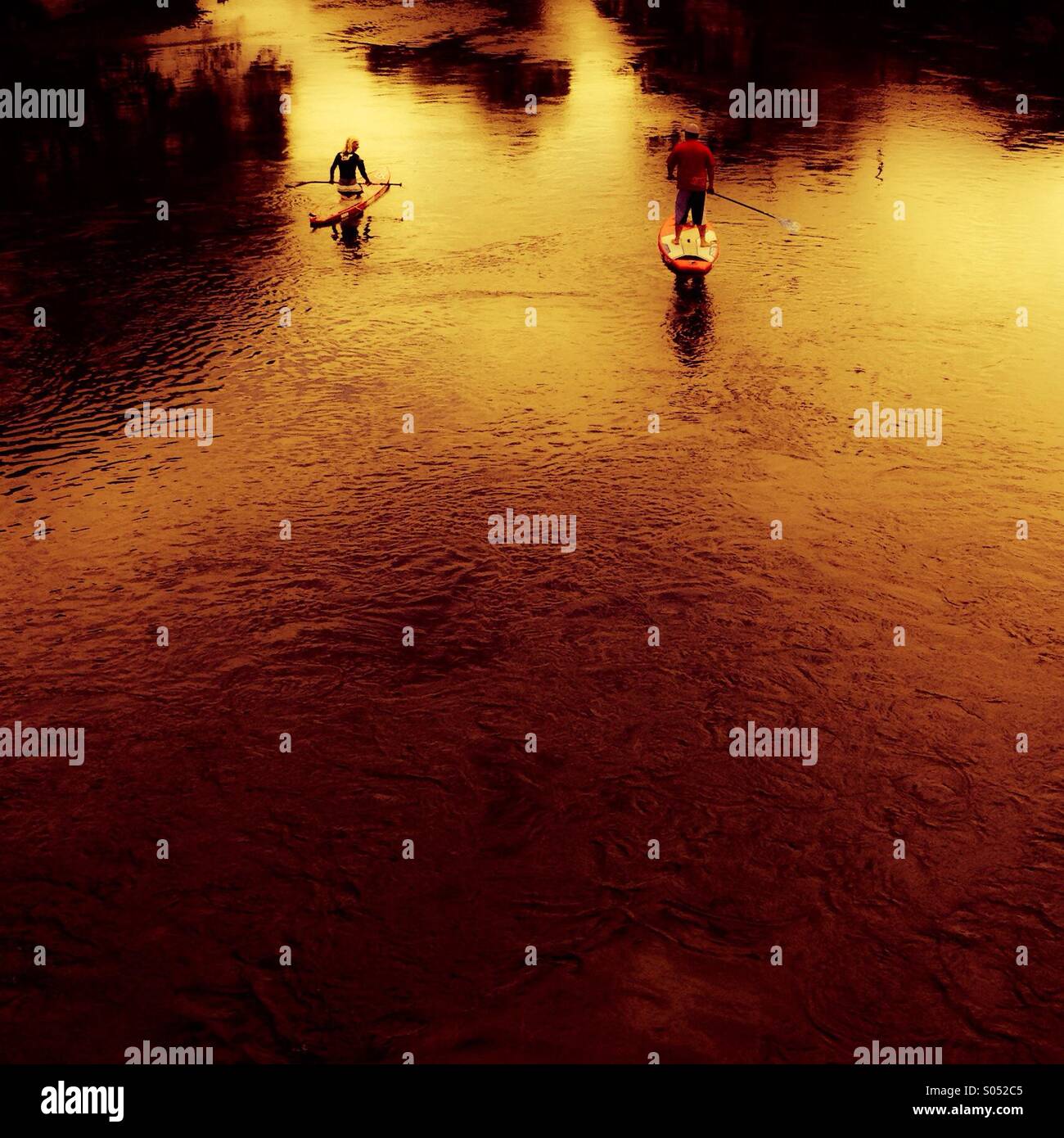 Couple paddle boarding in a glow Stock Photo