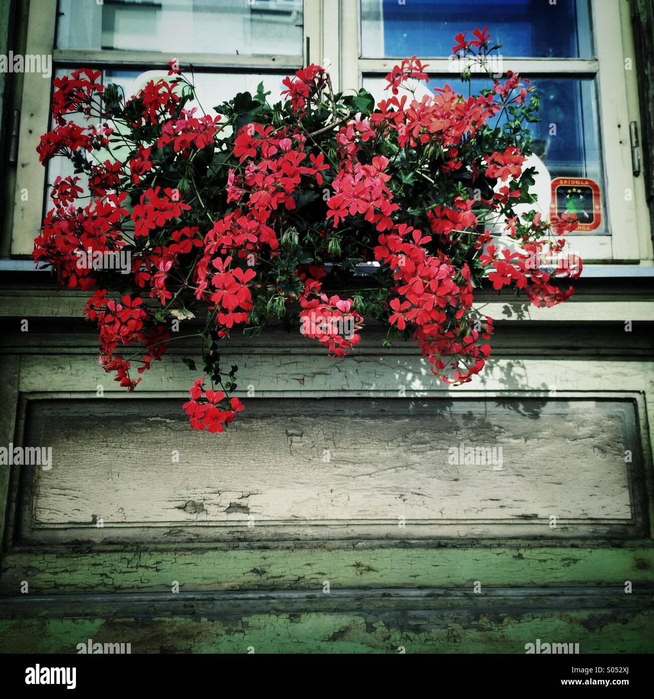 Window box geranium hires stock photography and images Alamy