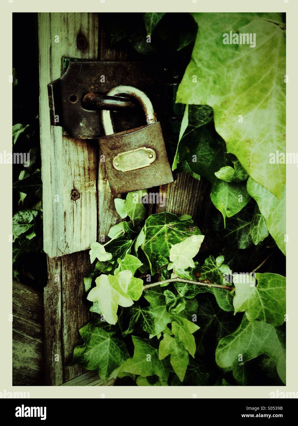 Old locked gate - Smartphone Captured Stock Image