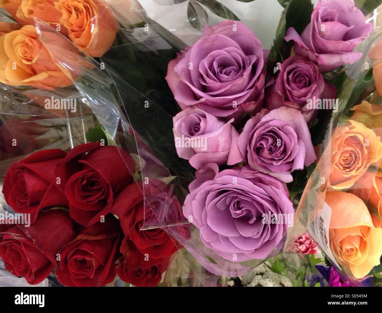 Roses at the grocery store Stock Photo Alamy