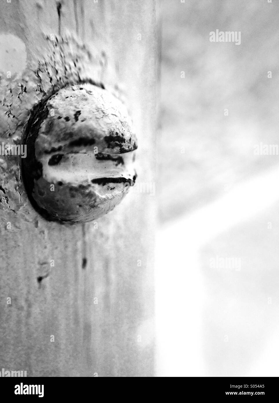 Close-up of rusting screw in wood. - Smartphone Captured Stock Image