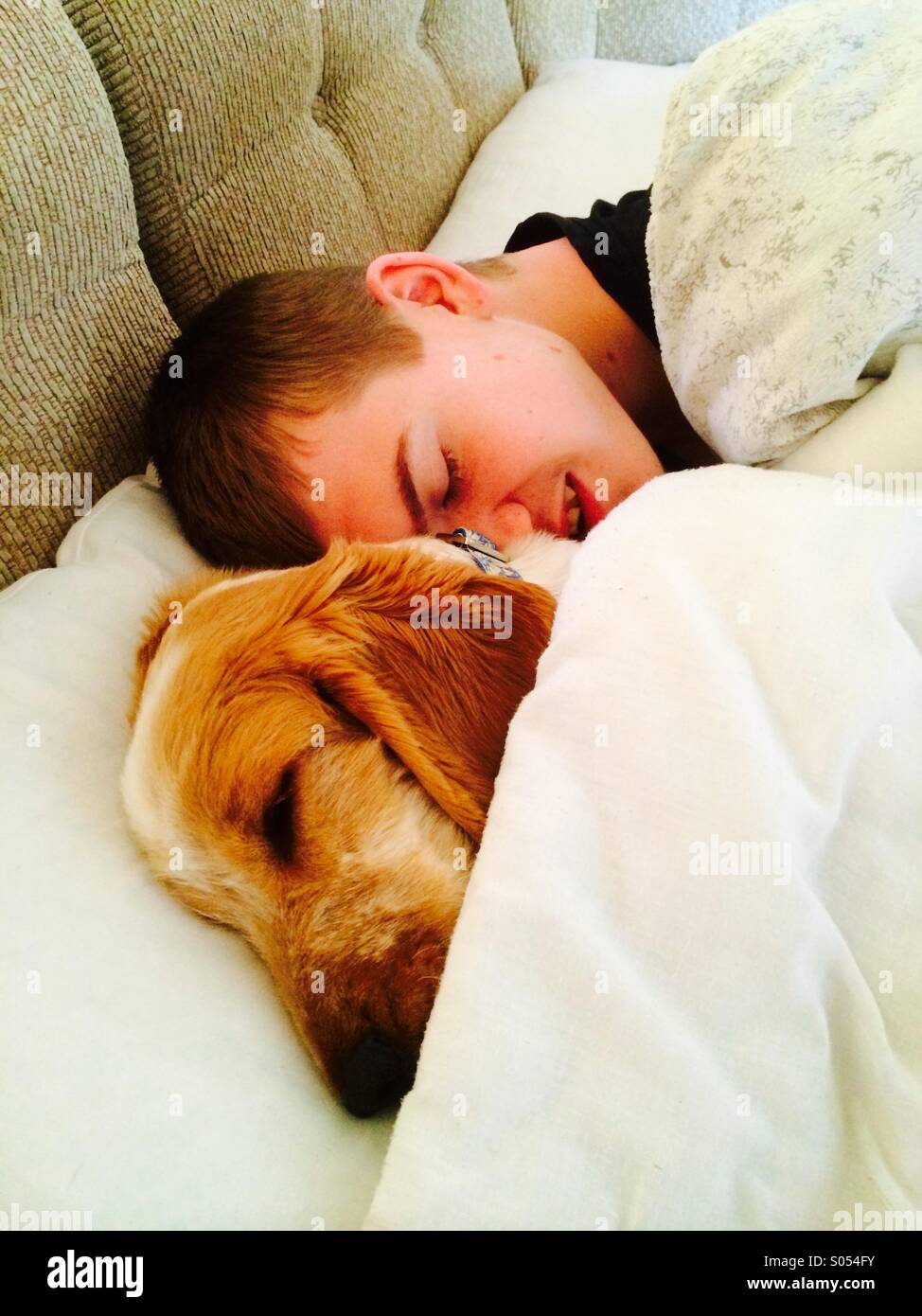 Son & dog asleep - Smartphone Captured Stock Image