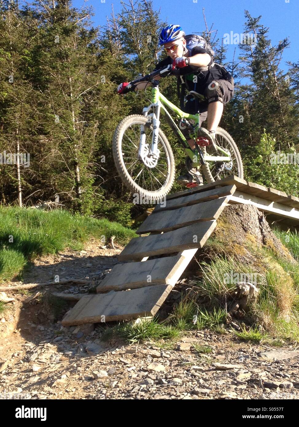 whinlatter mtb trails