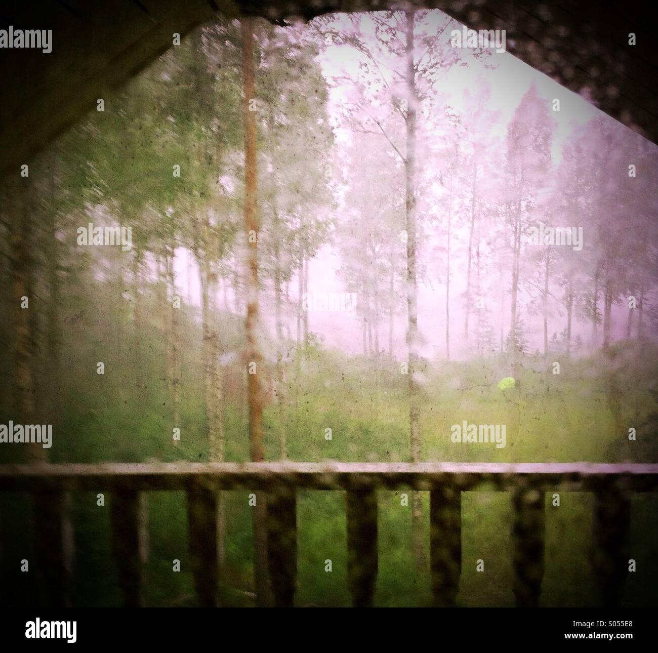 Heavy rain seen from summer cottage balcony in Finland Stock Photo