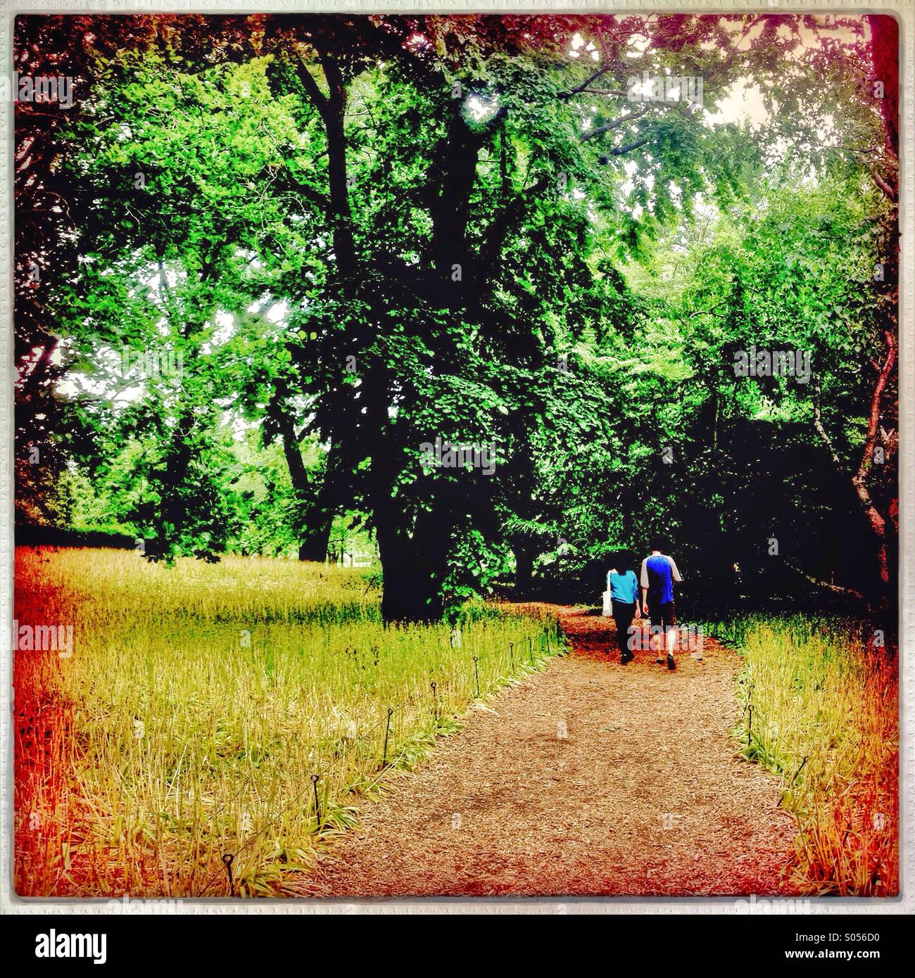 Couple walking on a sunny springtime morning by an alley of the Brooklyn Botanical Garden - Smartphone Captured Stock Image