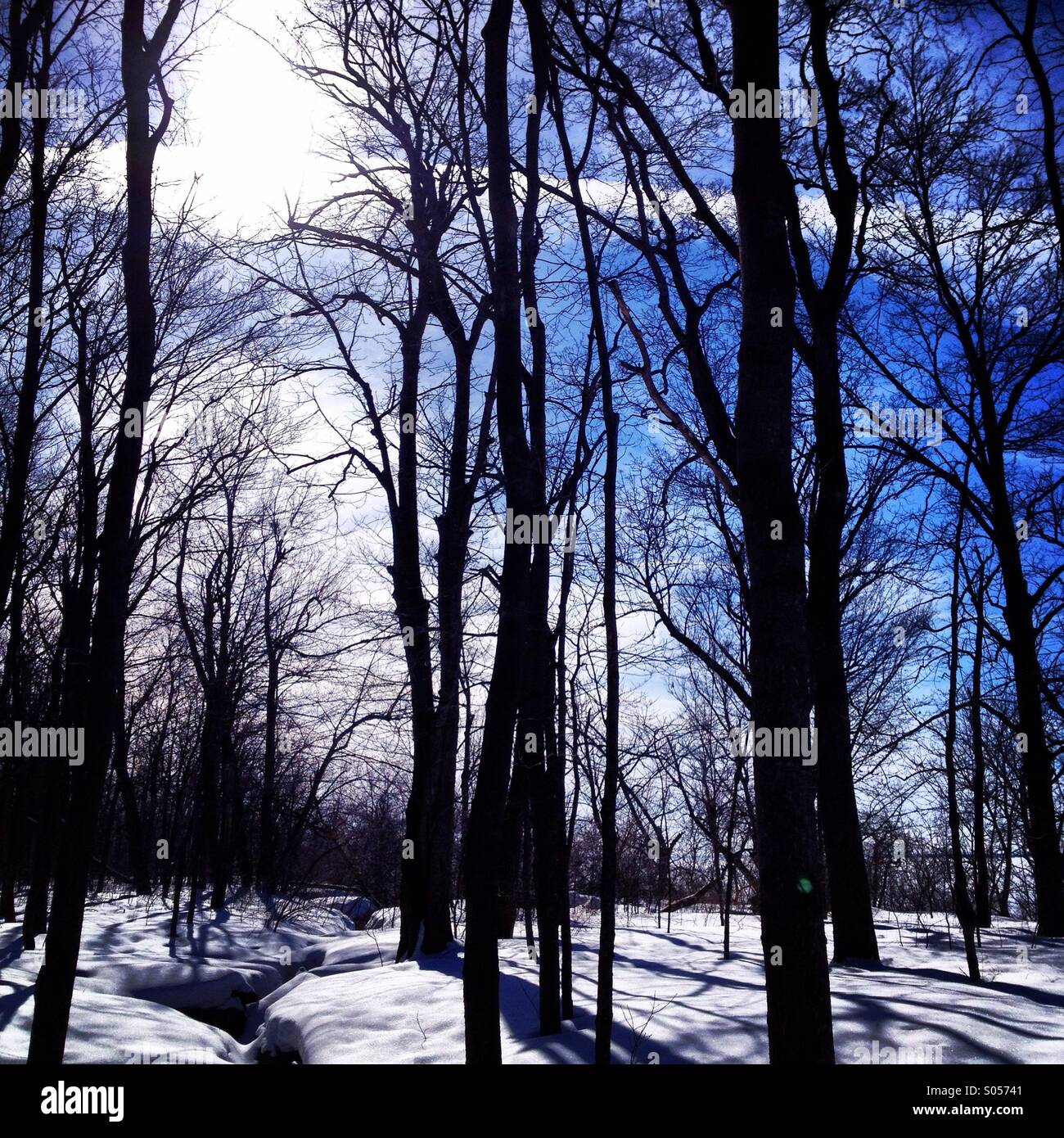 Winter hiking in Wisconsin Stock Photo Alamy