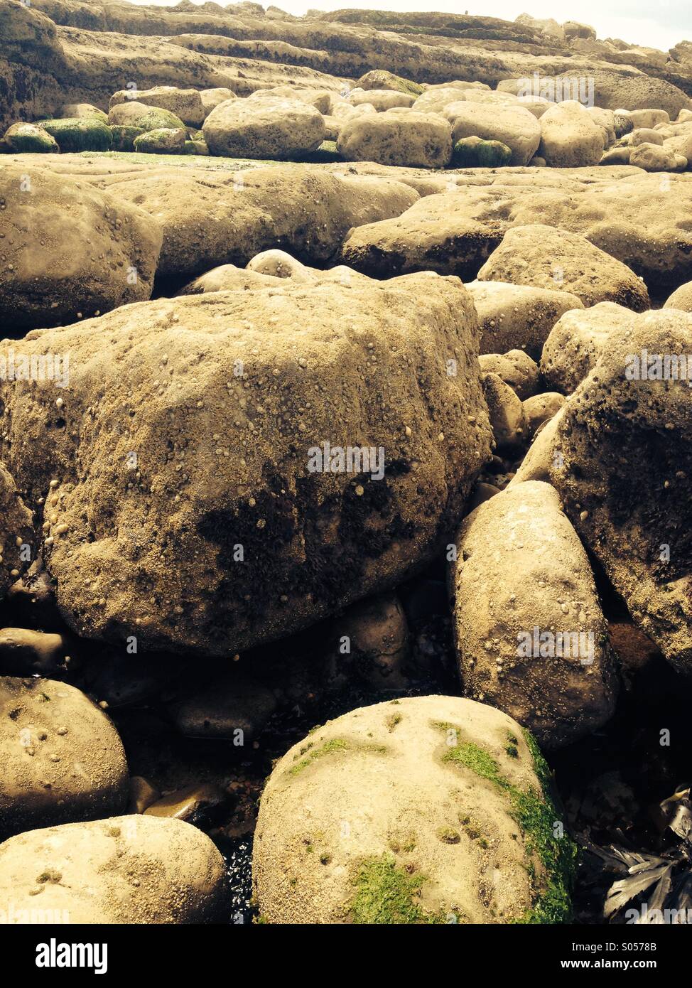 Rocks on the beach Stock Photo - Alamy