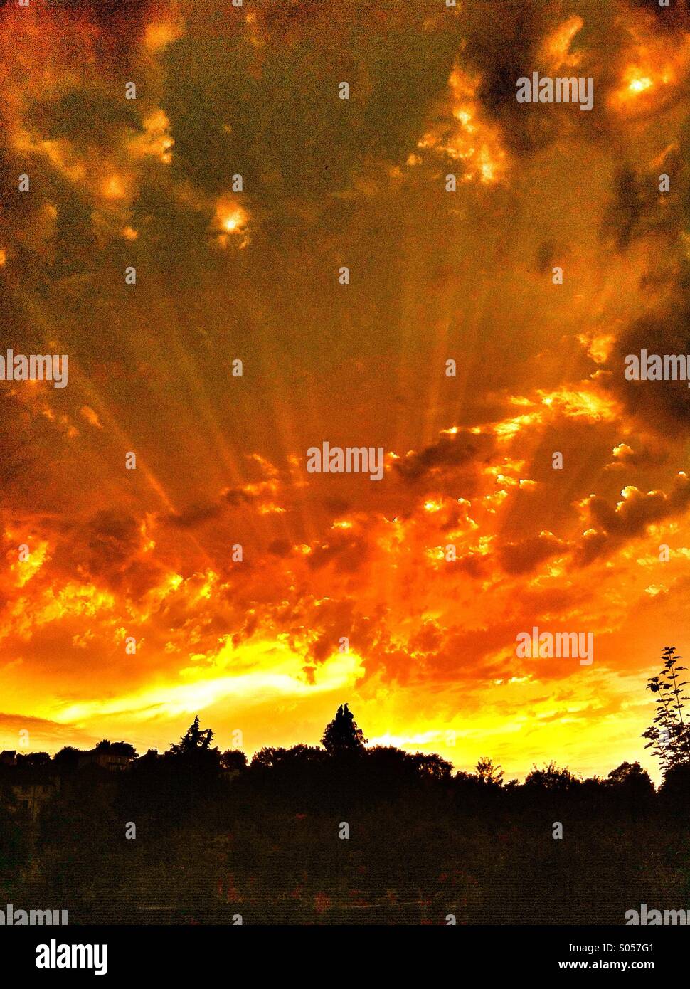 Sun rays at sunset. - Smartphone Captured Stock Image