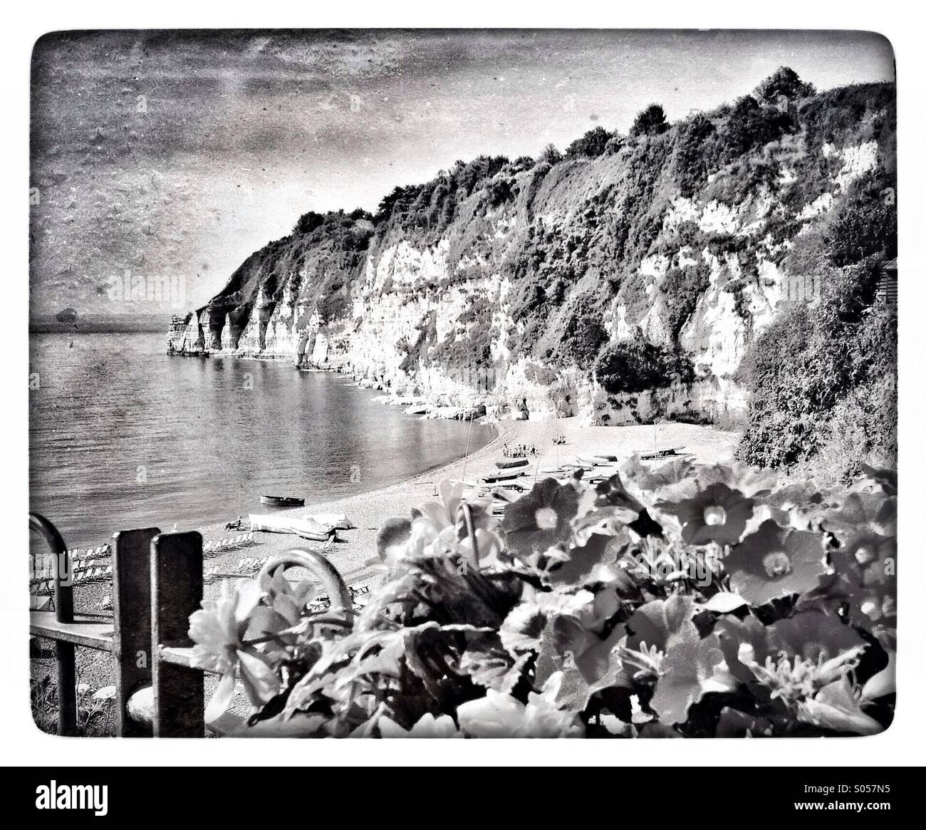 Devon coastline - Smartphone Captured Stock Image