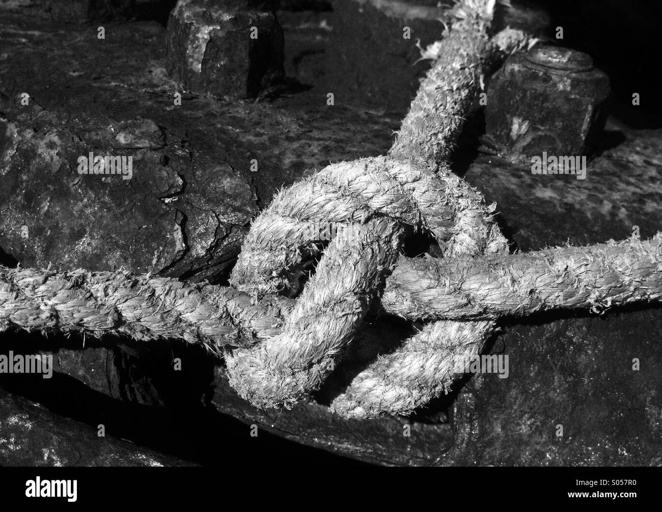 Knot in a rope - Smartphone Captured Stock Image