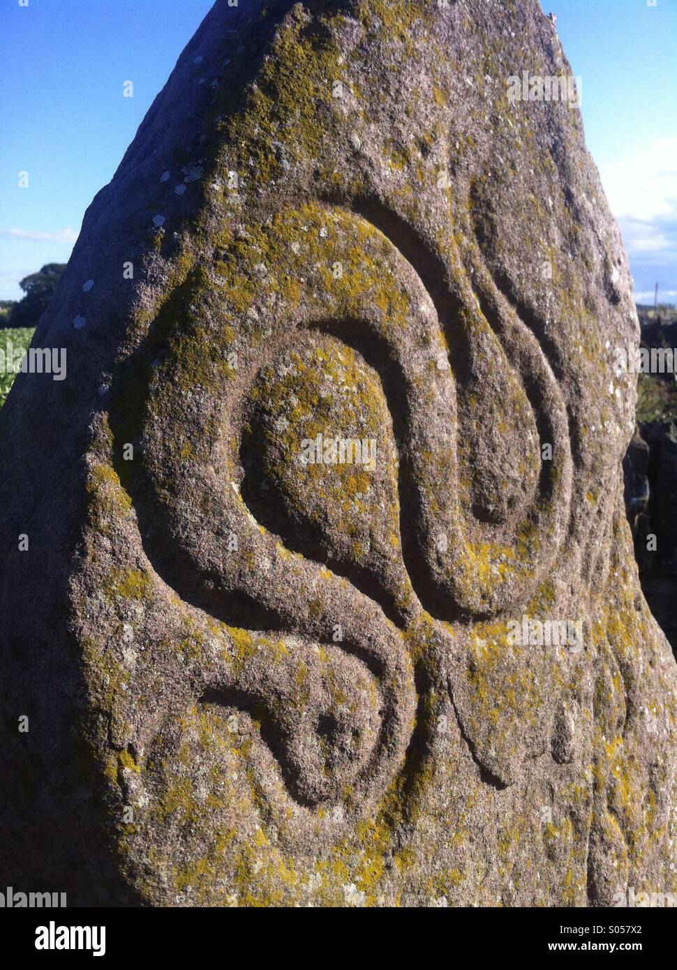 Pictish Serpent Stock Photo