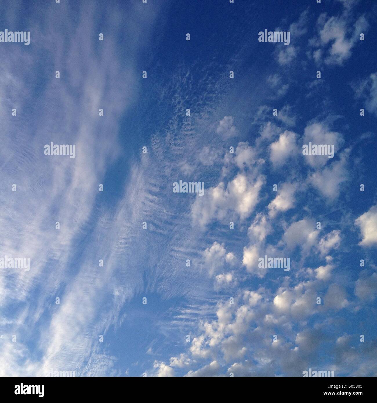 Blue sky and white clouds over the Sonoran Desert, Tucson, Arizona, USA. - Smartphone Captured Stock Image
