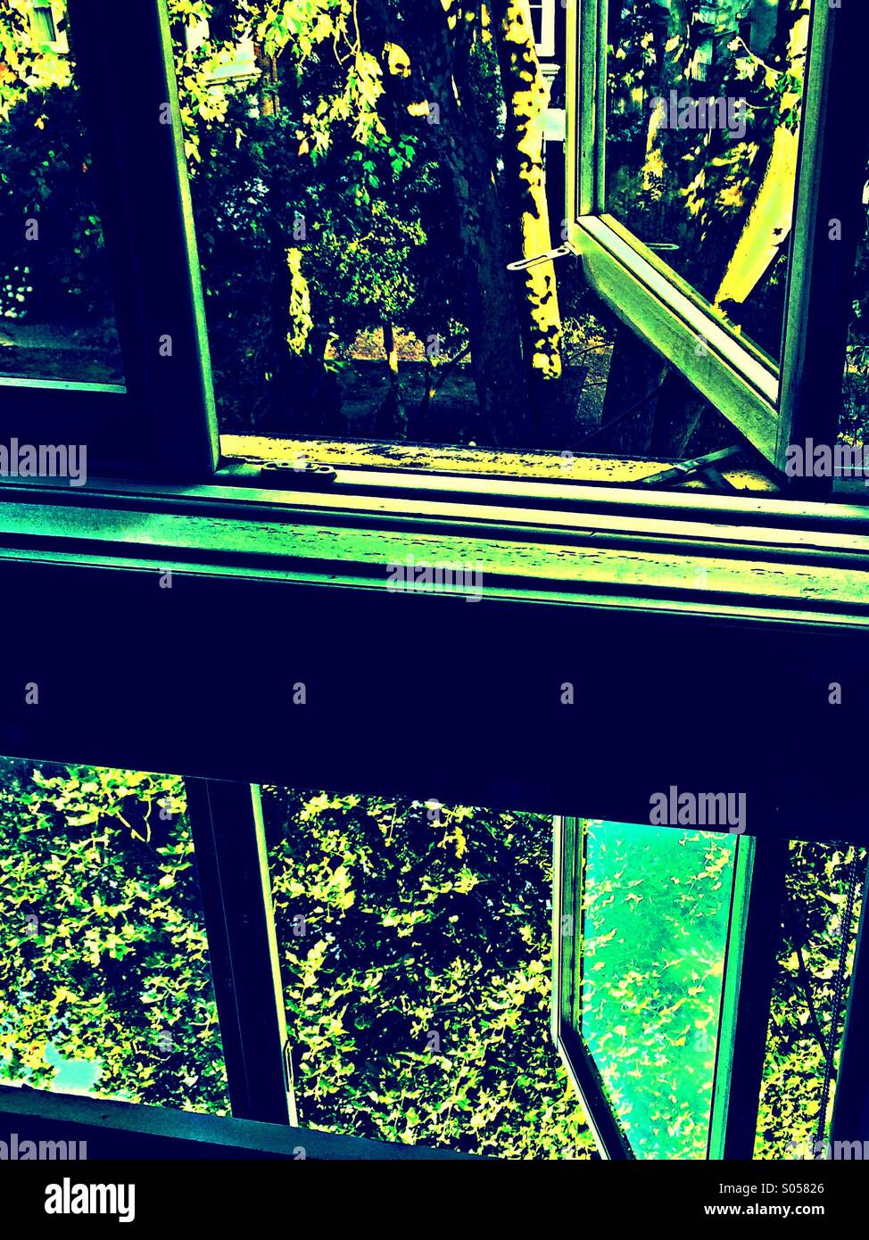 View into garden through open window reflected in mirror - Smartphone Captured Stock Image