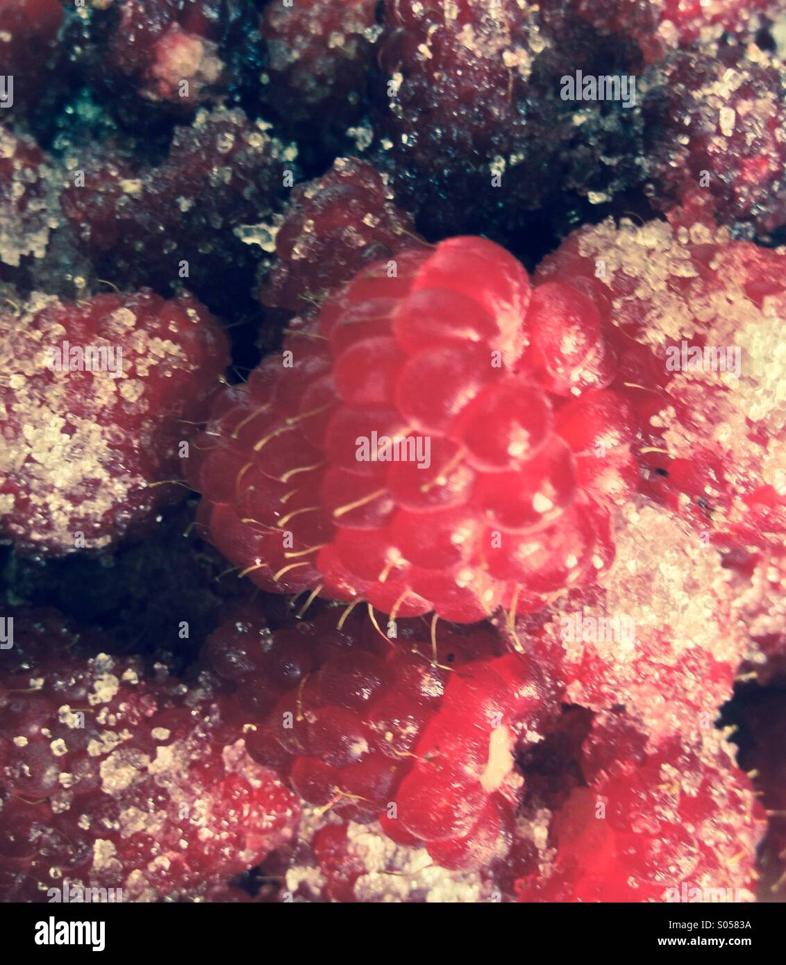 Raspberries with sugar Stock Photo Alamy