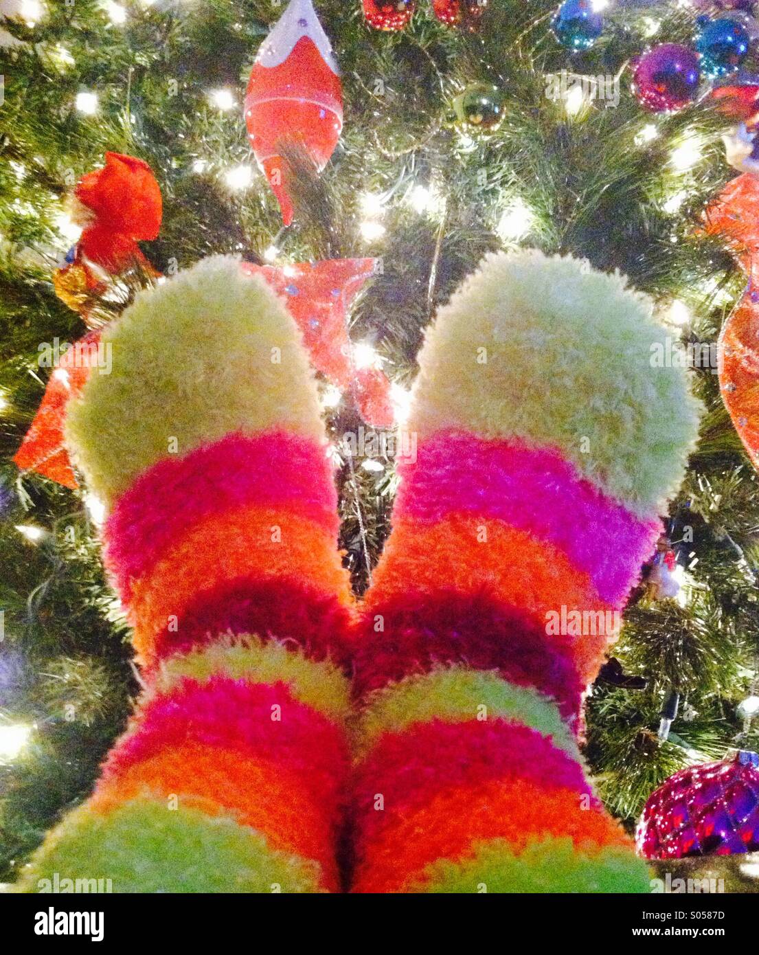 Fuzzy socks hi-res stock photography and images - Alamy
