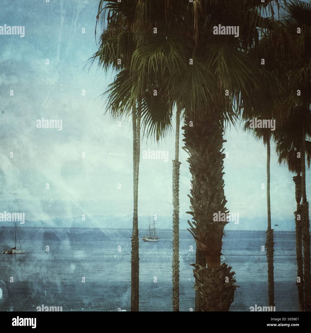 Ship palm trees hi-res stock photography and images - Alamy