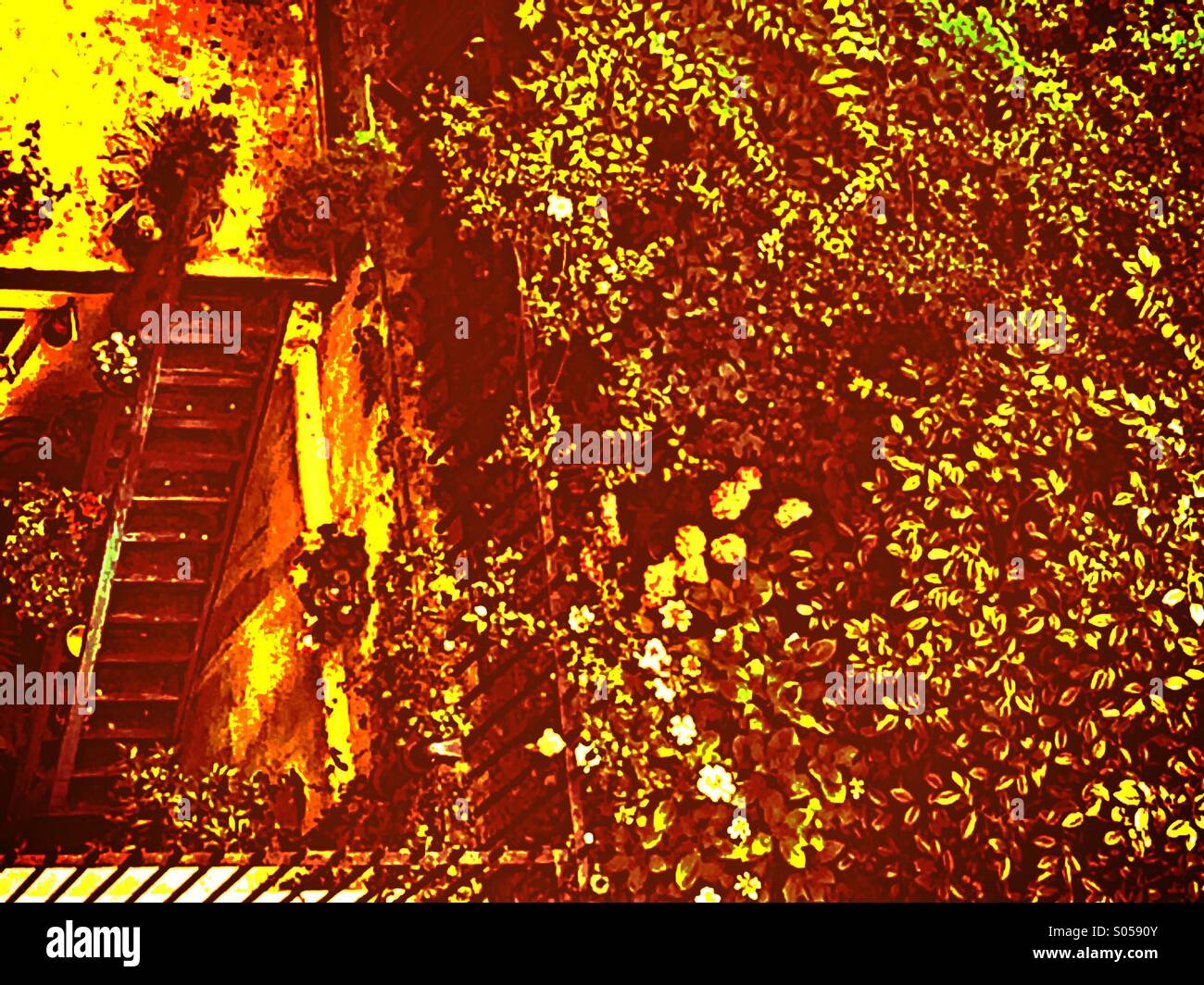 Secret romantic city garden - Smartphone Captured Stock Image