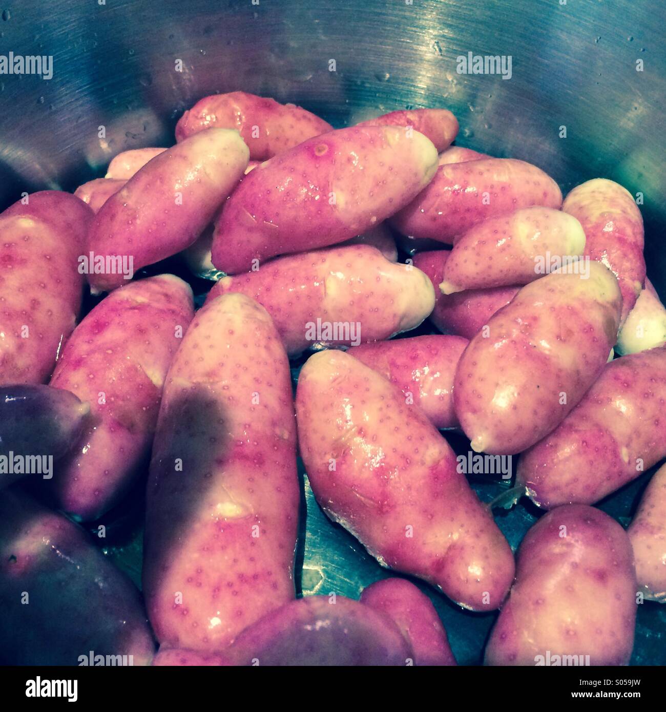 How to grow potatoes hires stock photography and images Alamy