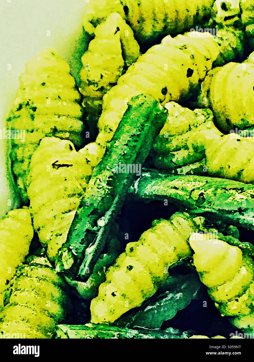 Gnocchi di Sardi with pesto and green beans Stock Photo Alamy