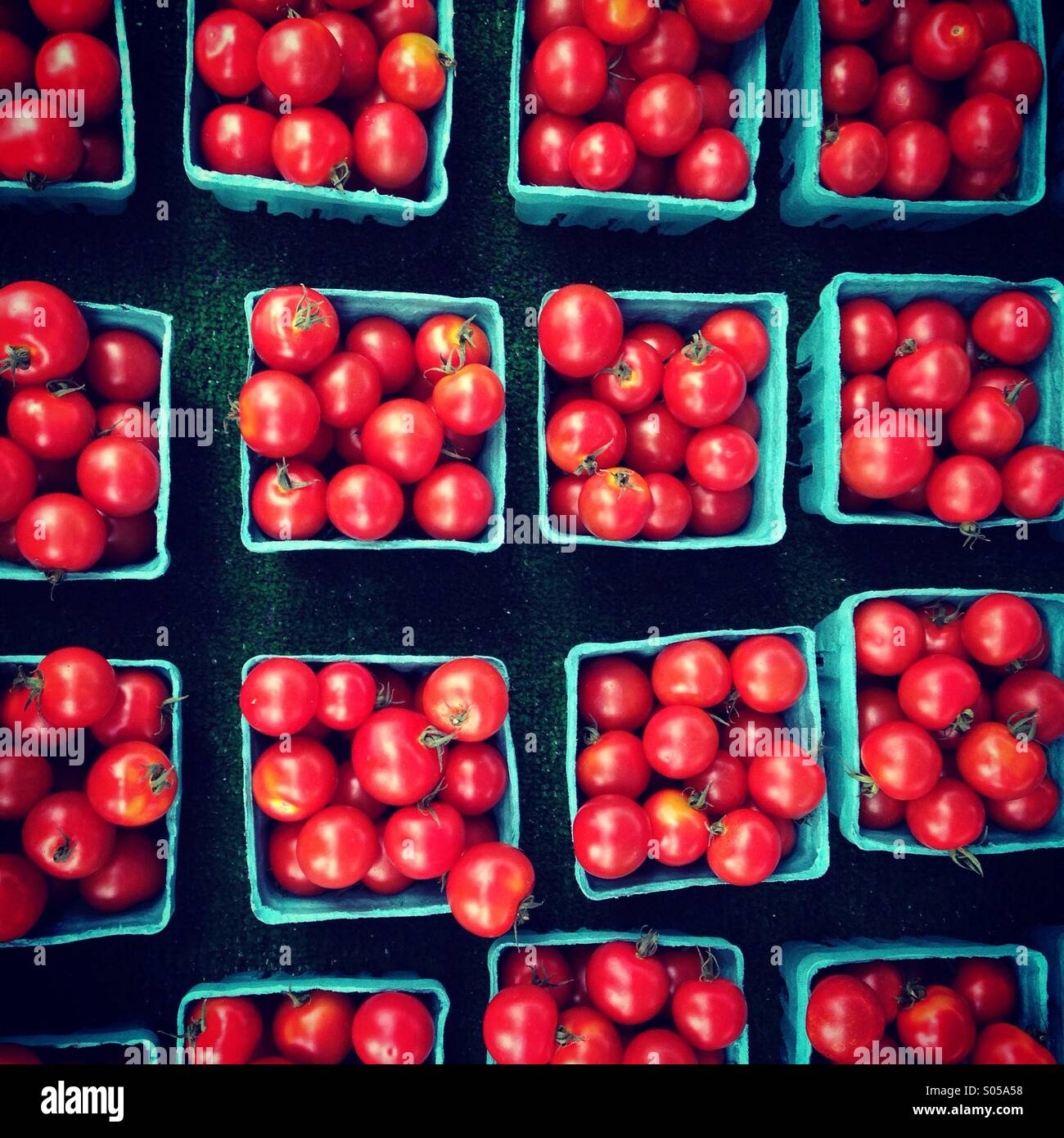 Red tomatoes background (Top View) - Smartphone Captured Stock Image