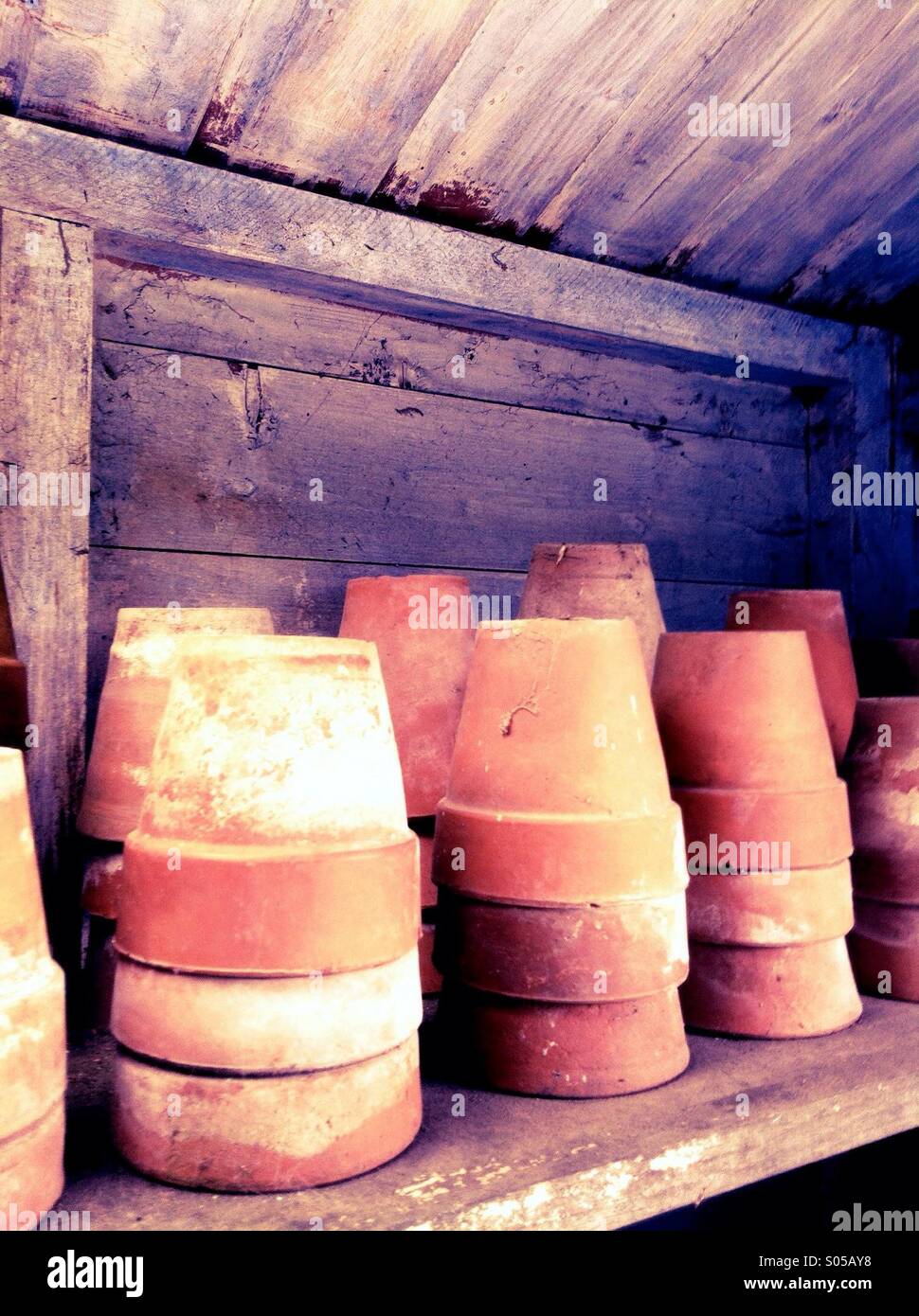 Terracotta plant pots stacked up on a shelf in a garden shed, UK Stock Photo