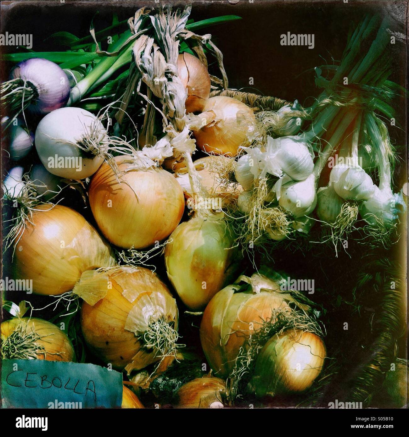 Onions on a rural Spanish farmers market Stock Photo