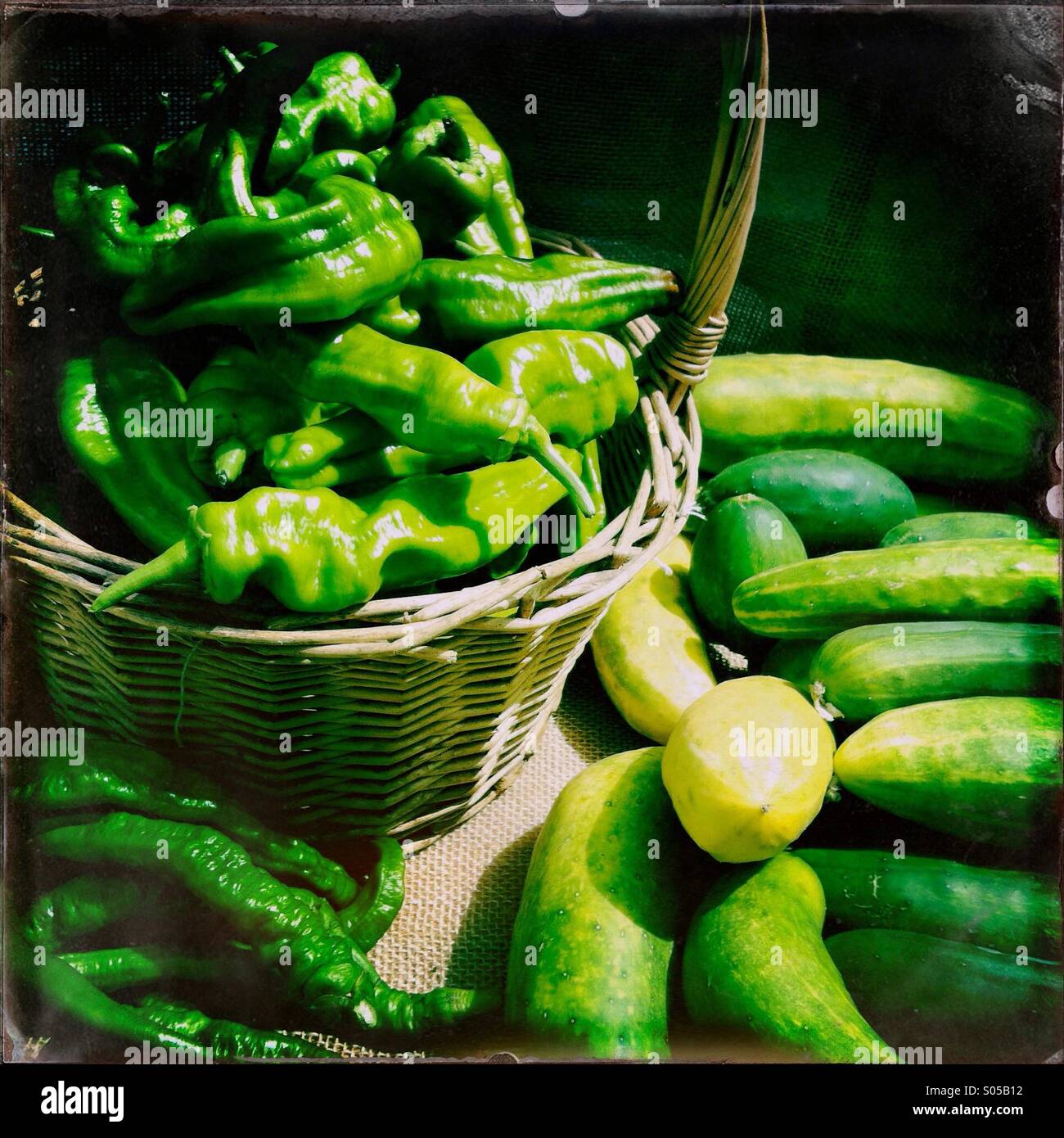 Basket of green peppers with Spanish cucumbers Stock Photo