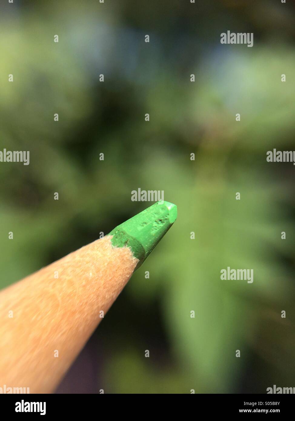 Green pencil - Smartphone Captured Stock Image