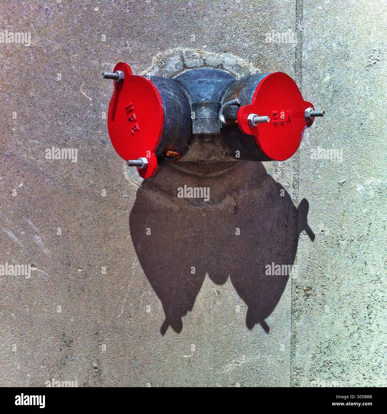 Y-shaped fire house double hookup on the stucco treated wall on the sunny day, 2014. - Smartphone Captured Stock Image